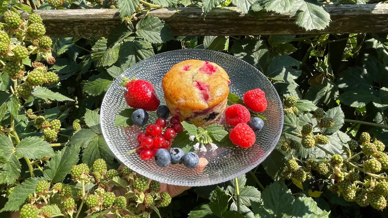 Beeren-Muffins