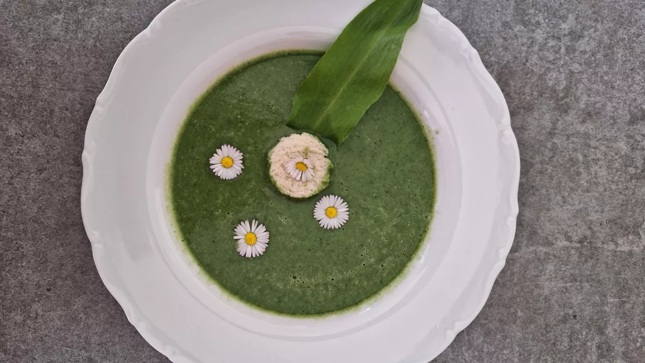 Wildkräutersuppe